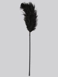 Bondage Boutique Luxury Ostrich Feather Tickler 13 Bondage Boutique Luxury Ostrich Feather Tickler -Online Sex toys shop 52057 a30724 black 005