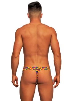 Male Power Rainbow Pride Flag Thong -Online Sex toys shop 71116 a38592 rainbow regular 005