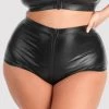 Lovehoney Plus Size Fierce Wet Look High-Waisted Panties -Online Sex toys shop 75032 a41164 black x size 000