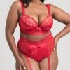 Lovehoney Plus Size Treasure Me Red Push-Up Bra Set -Online Sex toys shop 80051 a40921 red x size 000