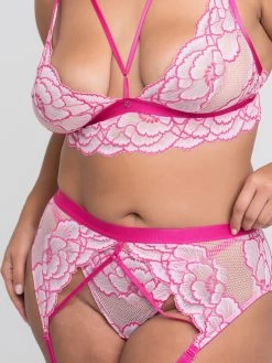 Lovehoney Plus Size Tiger Lily Pink Lace Bra Set 9 Lovehoney Plus Size Tiger Lily Pink Lace Bra Set -Online Sex toys shop 85045 a46338 pink x size 003
