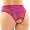 Fantasy Lingerie Bottoms Up Pink Daisy Lace Crotchless Panties