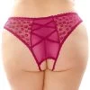 Fantasy Lingerie Bottoms Up Plus Size Pink Daisy Lace Crotchless Panties