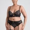 Lovehoney Plus Size Parisienne Charm Black Lace Crotchless Bra Set -Online Sex toys shop 85561 a47870 black x size 000