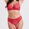 Lovehoney Plus Size Parisienne Charm Red Lace Crotchless Bra Set -Online Sex toys shop 86027 a47870 red x size 000