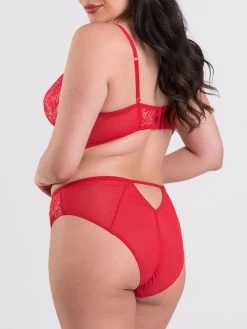 Lovehoney Plus Size Parisienne Charm Red Lace Crotchless Bra Set -Online Sex toys shop 86027 a47870 red x size 004