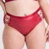 Lovehoney Plus Size Fierce Leather Look Lace-Up Open-Back Red Crotchless Knickers -Online Sex toys shop 86248 a48205 red x size 000